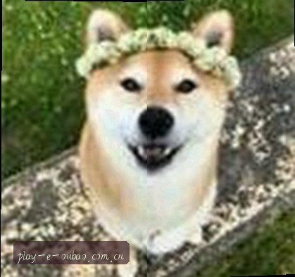 王莉